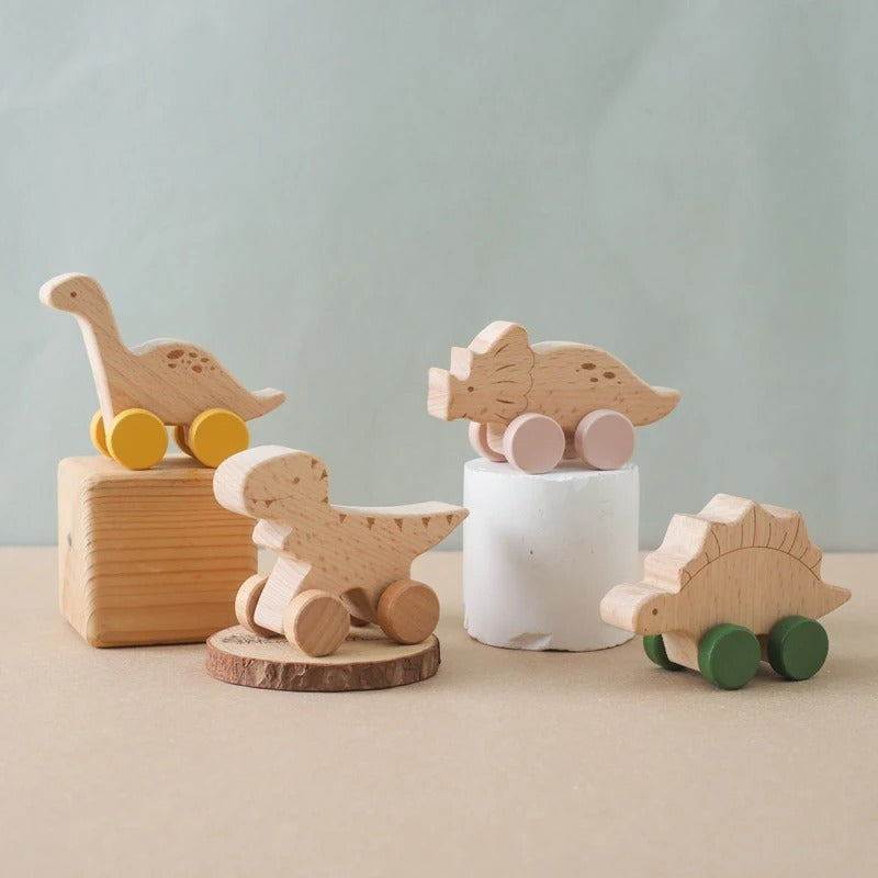 Montessori Dino Set